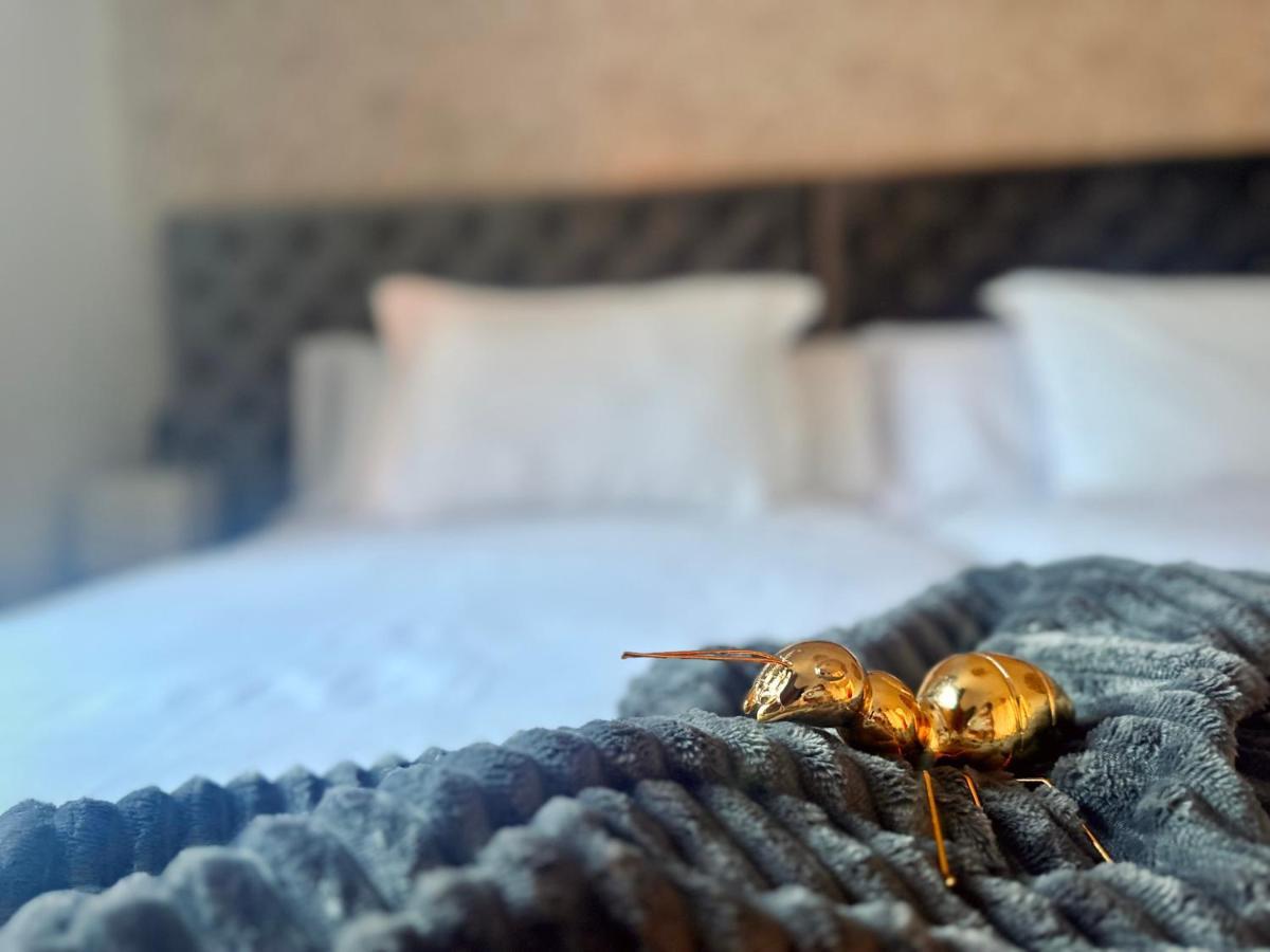 Libelle Daire Granada Dış mekan fotoğraf