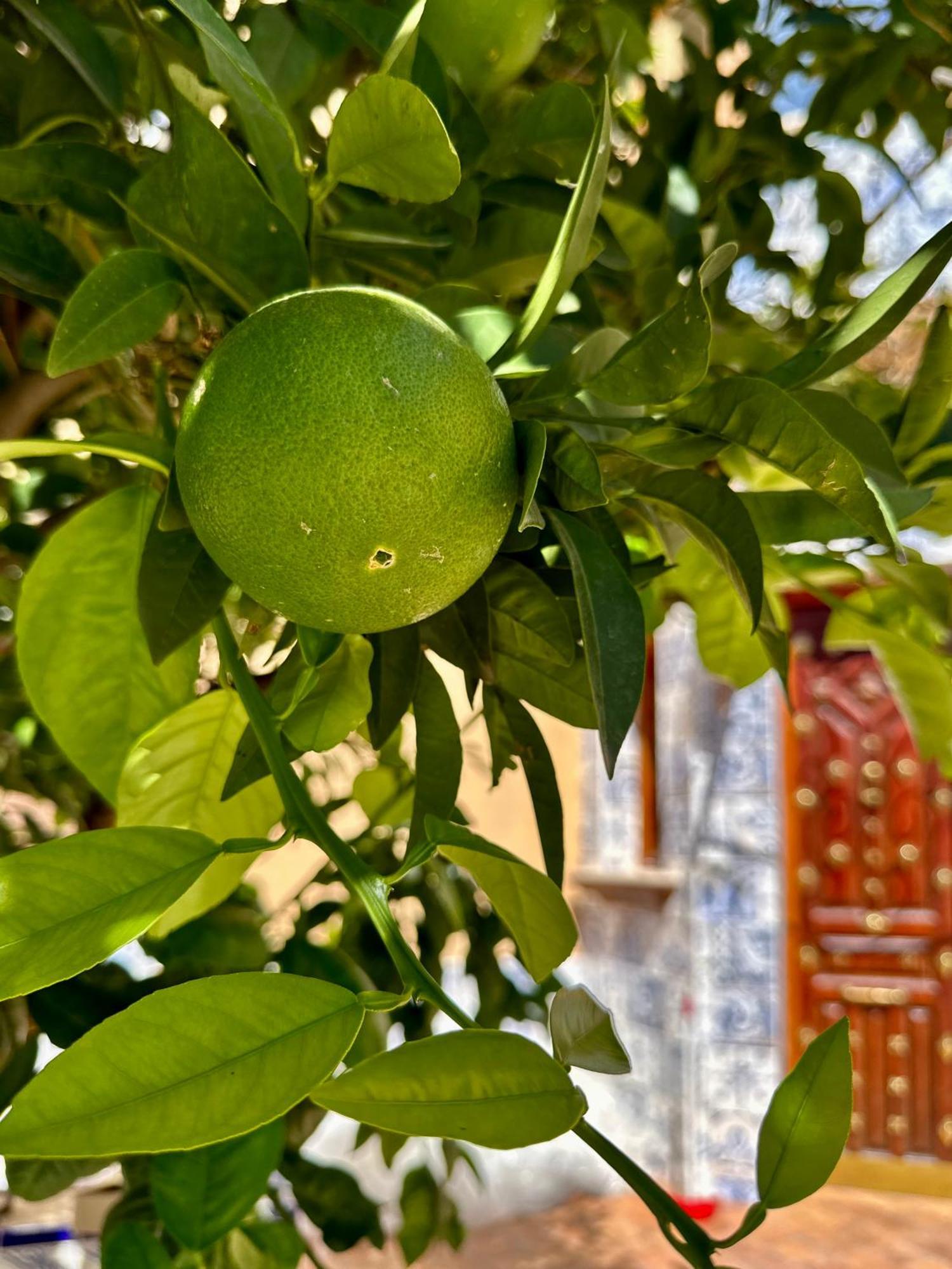 Libelle Daire Granada Dış mekan fotoğraf